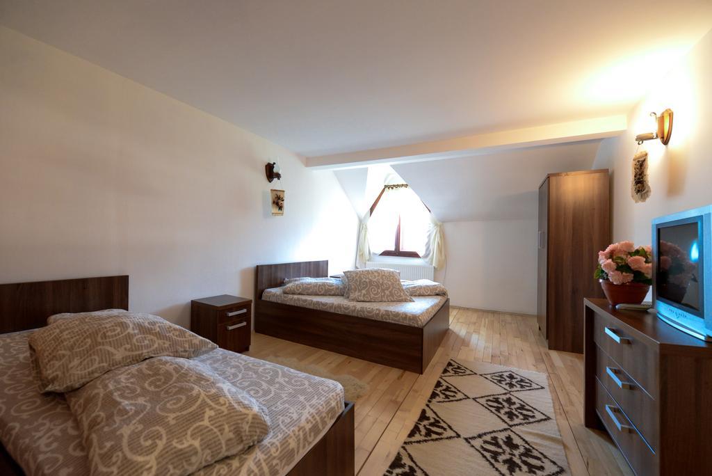 Pensiunea Arina Vatra Dornei Bagian luar foto