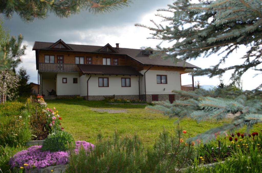 Pensiunea Arina Vatra Dornei Bagian luar foto